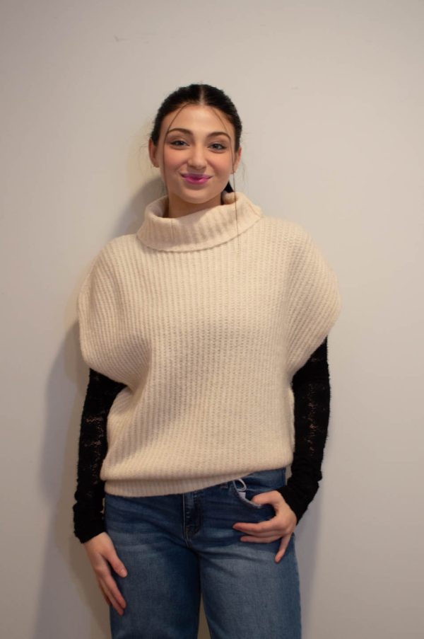 Knit Turtleneck Vest Sale