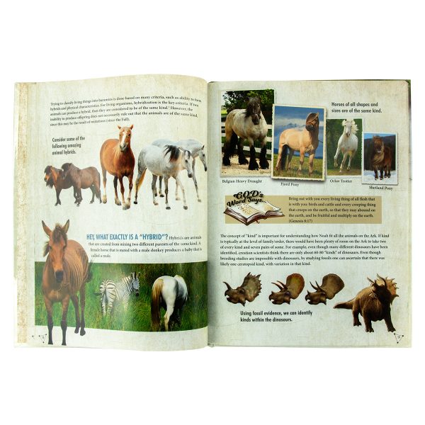 How Many Animals Were On The Ark: Understanding The Animal Kinds (Hardcover) Online