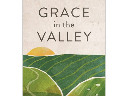 Grace In The Valley (Paperback) Online now