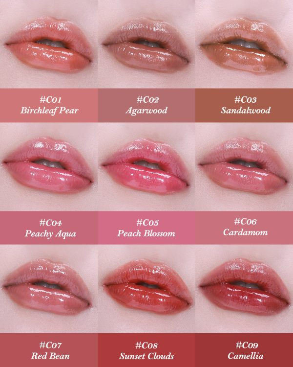 Butterfly Cloud Collar Collection Glossy Lipstick Online