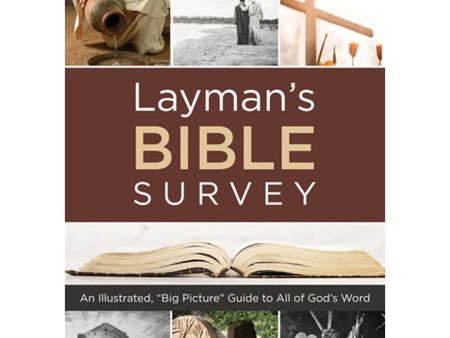 Laymans Bible Survey (Paperback) For Sale