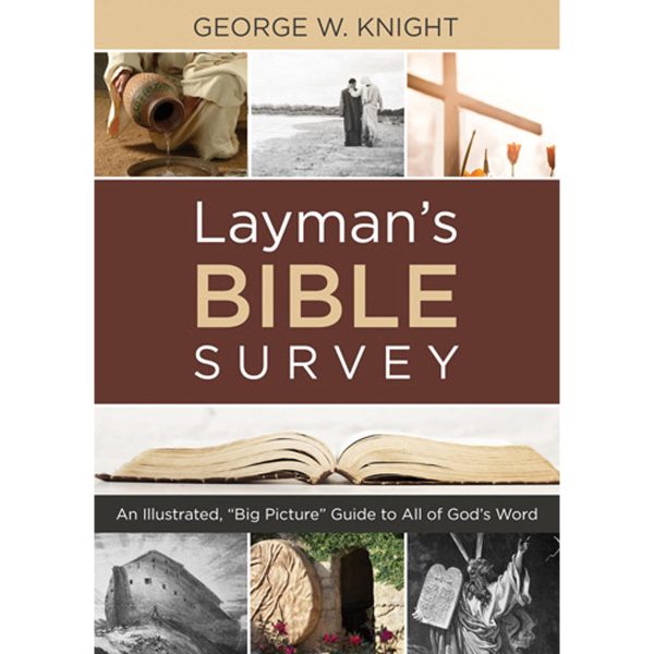 Laymans Bible Survey (Paperback) For Sale