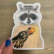 Raccoon & Raven Vinyl Sticker For Discount