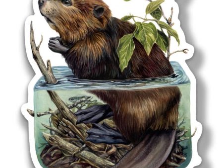 Beaver Lake Sticker Hot on Sale