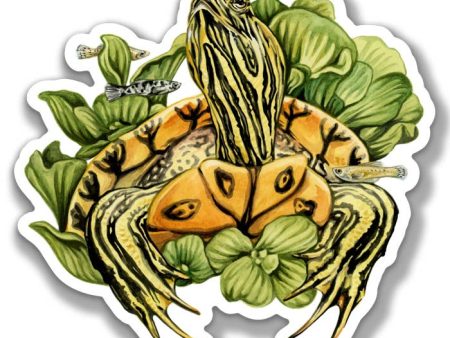 Yellow-Bellied Slider Sticker Online now