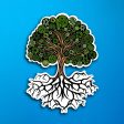 Decorative Tree Sticker Online Sale