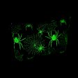 Spooky Spiders Organizer Wristlet (Glow-in-the-dark!) Online