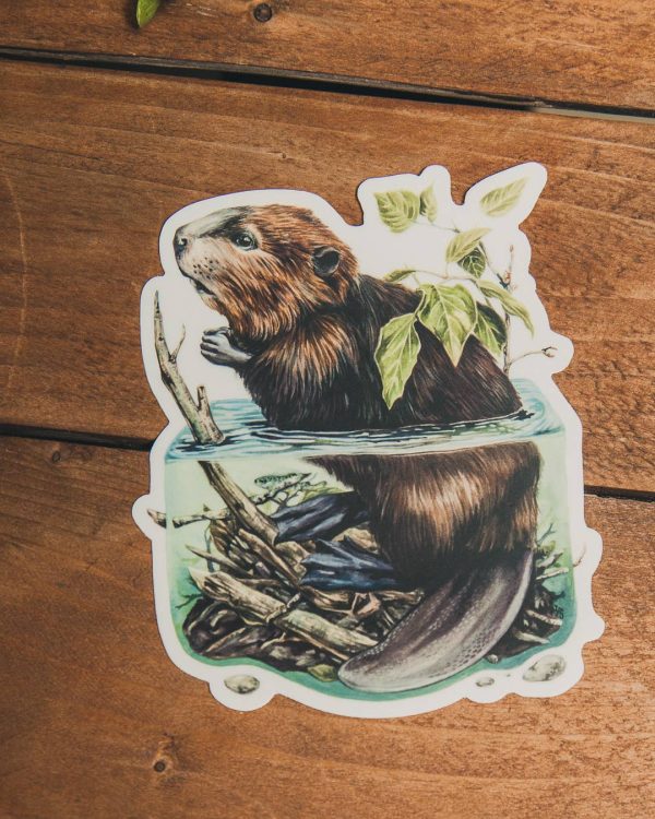 Beaver Lake Sticker Hot on Sale