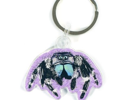 Jumping Spider Acrylic Keychain Supply