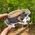 Narrowmouth Toad Vinyl Sticker Sale