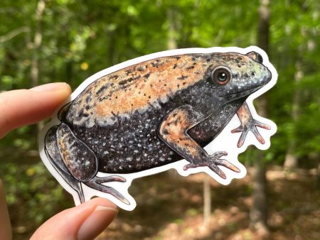 Narrowmouth Toad Vinyl Sticker Sale