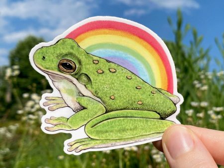 Rainbow Tree Frog Vinyl Sticker Supply