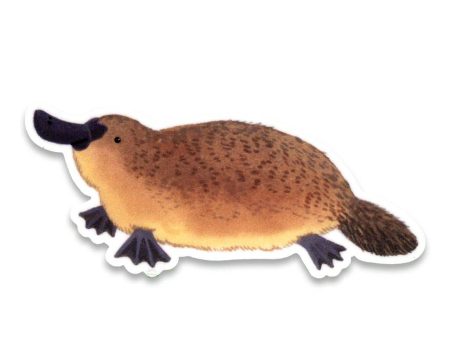 Platypus Sticker Supply